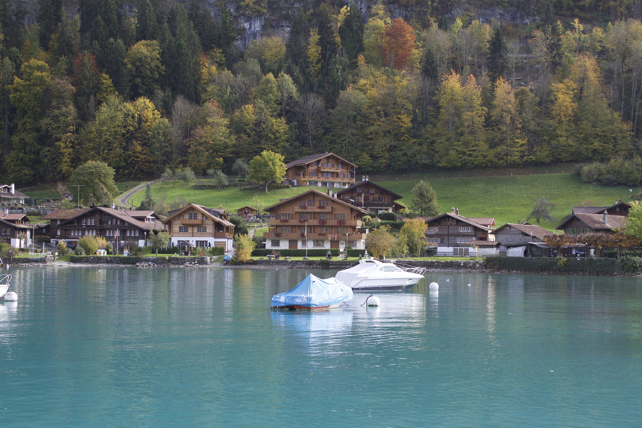 Iseltwald, Brienzersee